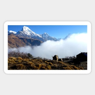 Panoramic View Of Everest Mountain Magnet